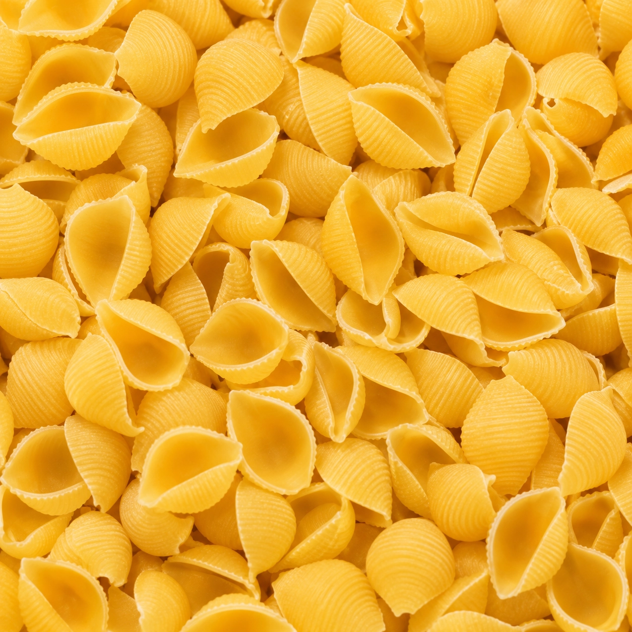 ILMAK Conchiglie